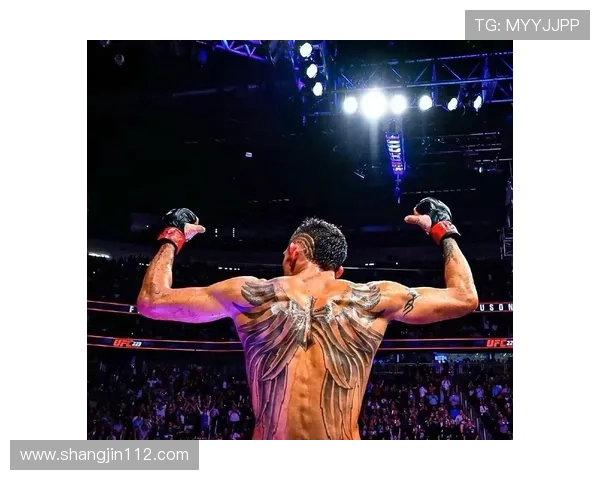 UFC 213:巅峰对决全程直播,冠军之战引爆格斗之夜